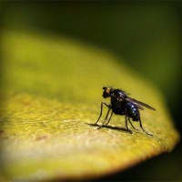 /album/closararatin/photolia-a07-jpg/